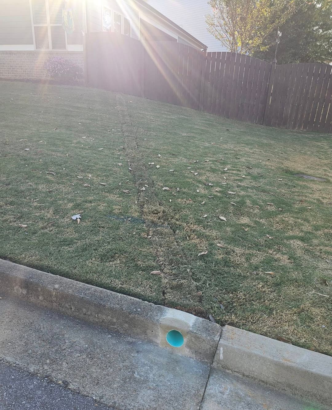 Mark on grass showing water runoff path from the yard to street drain, with sun rays shining.