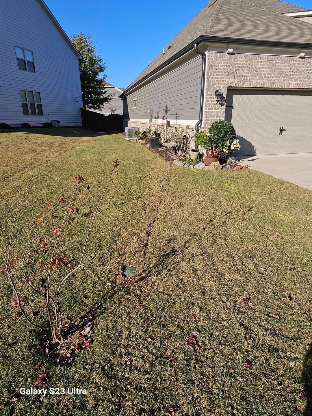 Lawn with neat lines, flower beds, and a sunlit house exterior on a clear day.